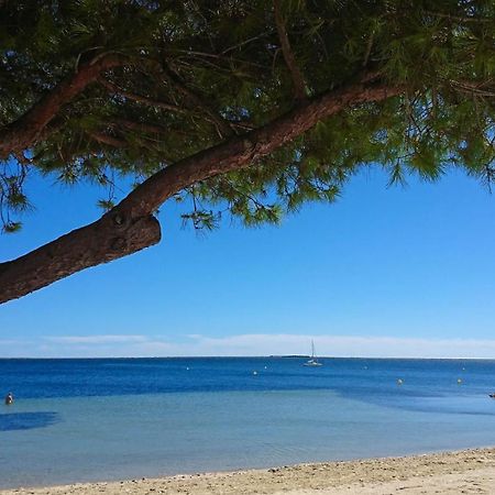 Le Cosy Lägenhet Clermont-lʼHérault Exteriör bild