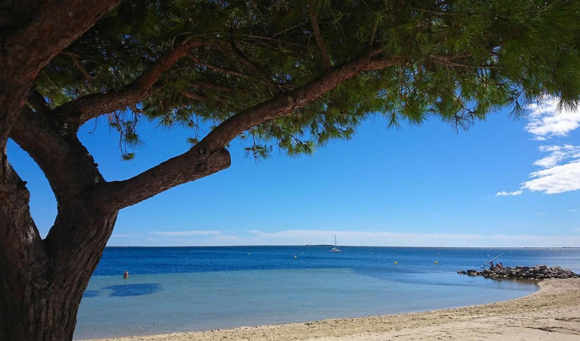 Le Cosy Lägenhet Clermont-lʼHérault Exteriör bild